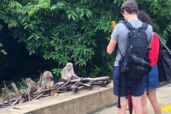 Hoi An or Da Nang to Golden Bridge, SonTra Monkey Mountain, Marble Mountain - Why This Tour Works and Who It’s For