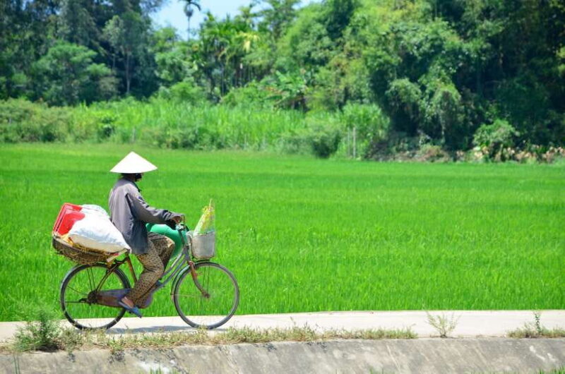 Hoi An: Private Cycling to My Son Sanctuary with Local Guide - Final Thoughts: Who Will Love This Tour?