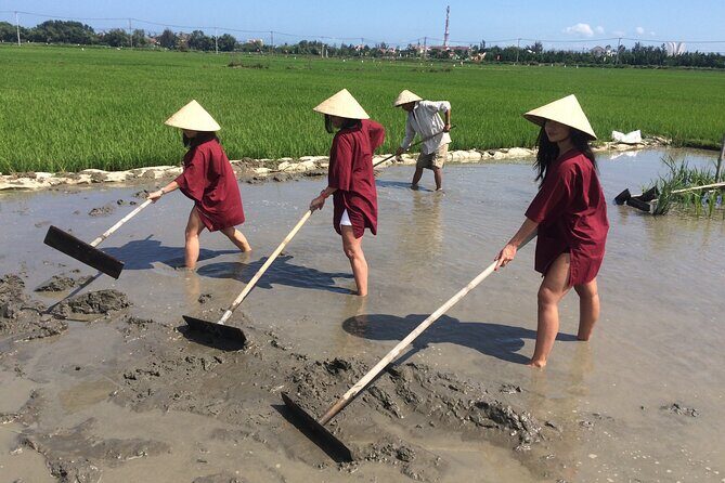 Hoi An Rice Farm Tour and Buffalo Riding with Local Home Meal - A Practical Look at the Hoi An Rice Farm Tour and Buffalo Riding Experience