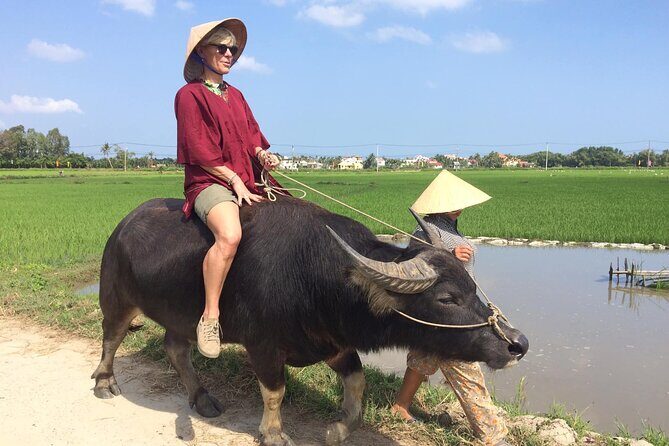 Hoi An Rice Farm Tour and Buffalo Riding with Local Home Meal - Key Points