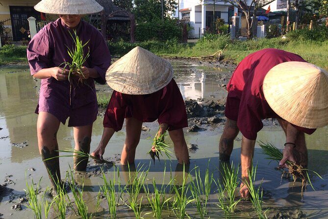 Hoi An Rice Farm Tour and Buffalo Riding with Local Home Meal - FAQs about the Hoi An Rice Farm Tour and Buffalo Riding