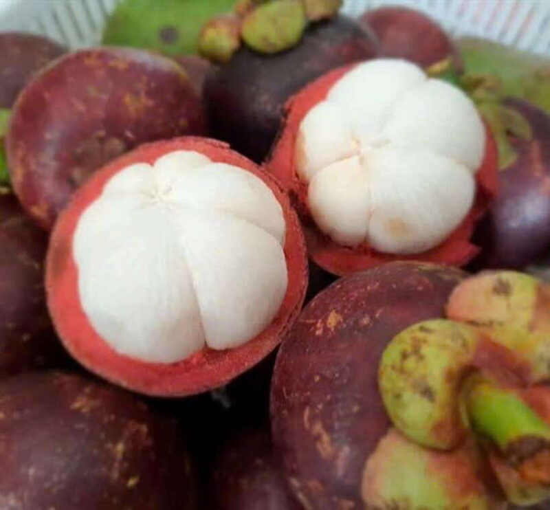 Hoi An seafood, tropical fruits tasting and making lantern. - A Deep Dive Into the Tour Experience