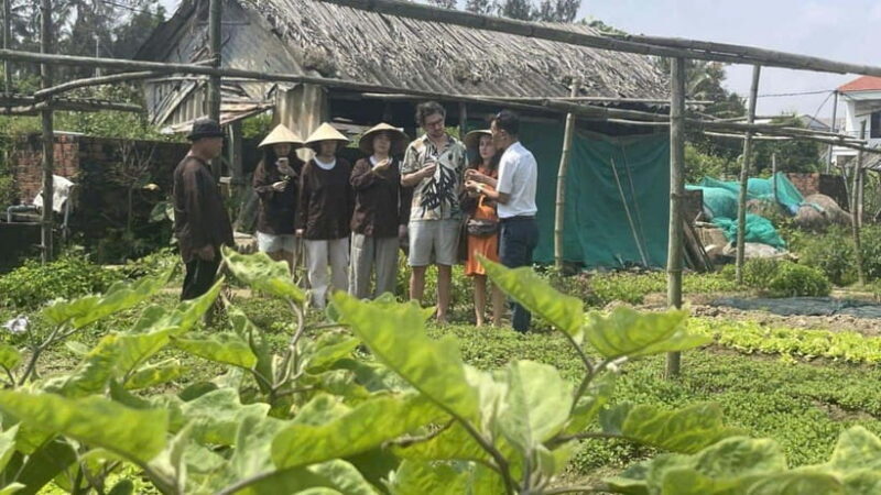 Hoi An: Sunset BBQ Dinner with Professional Chef - The Itinerary in Detail