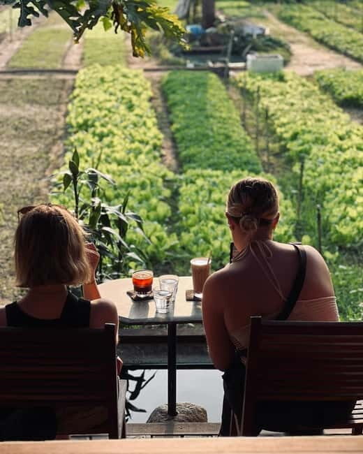 Hoi An: Trà Qu Village Cafe Tour with Local Guided - The Beginning: A Peaceful Escape from Hoi An