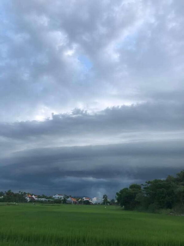 Hoi An: Village Life, Basket Boats, and Sunset Serenity - Hoi An: Village Life, Basket Boats, and Sunset Serenity