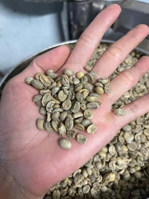 Hoi An:Coffee Making Class (Coffee: egg, Salt, Coconut, ...) - Exploring the Coffee Making Class in Hoi An