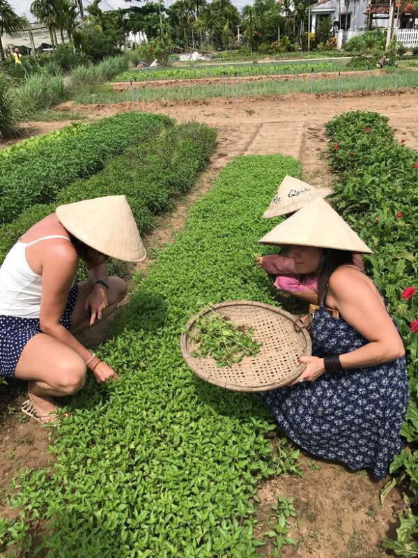 Hoian/Da Nang: Fishing, basket riding and cooking class - FAQ