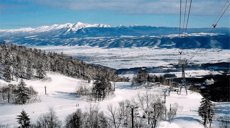 Hokkaido 10-hour chartered day tripFurano - An In-Depth Look at This Furano Day Trip