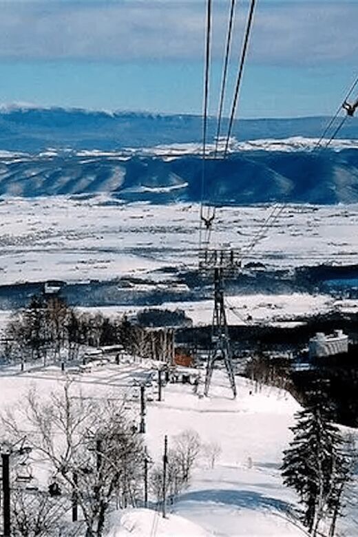 Hokkaido 10-hour chartered day tripFurano - Final Thoughts