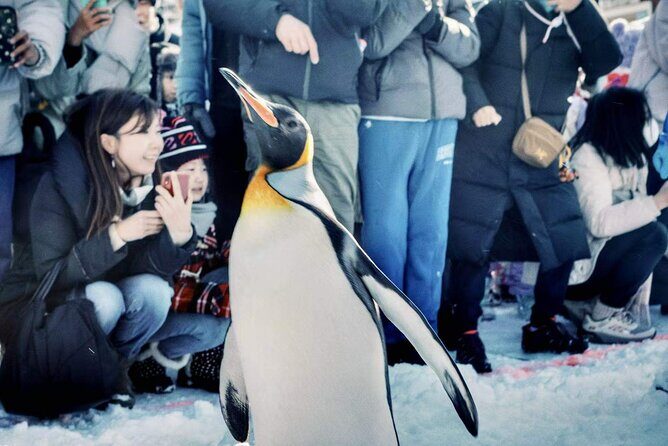 Hokkaido, Asahikawa Zoo Classic Day Tour With Optional Snomobile - Exploring the Full-Day Itinerary