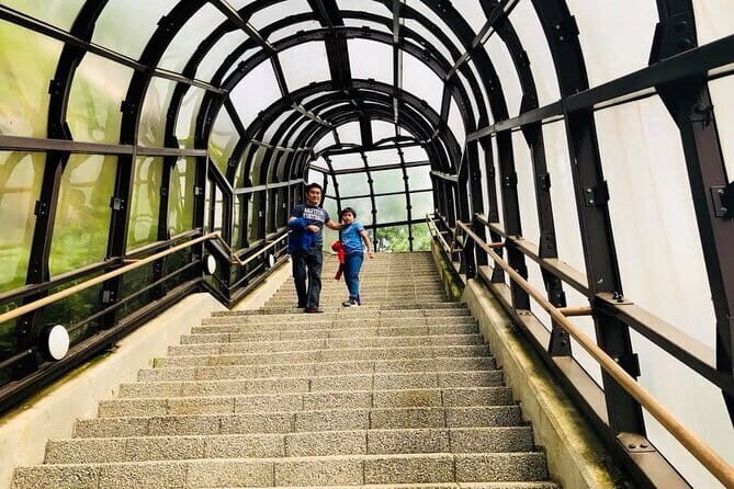 Hokkaido Asahiyama Zoo and Blue Pond Elf Terrace Day Trip - Exploring Hokkaido: A Detailed Review of the Day Trip