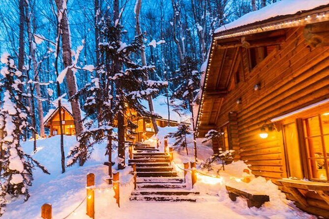 Hokkaido Asahiyama Zoo Biei Elf Terrace Day Tour - What Travelers Say and Why It Matters