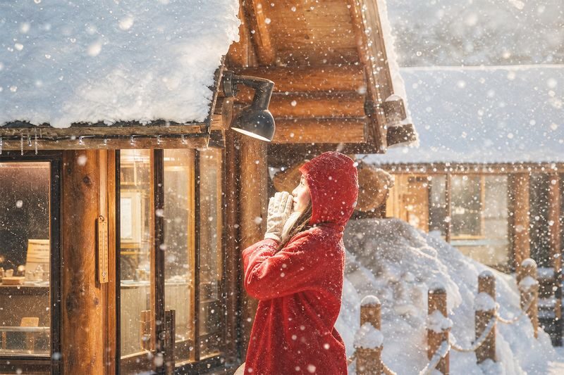 Hokkaido Asahiyama Zoo & Biei One Day Tour | Chinese/English Bilingual Tour Guide + Optional Small Group + Optional Hotel Pick-up - Four winter sights, with a few itinerary caveats