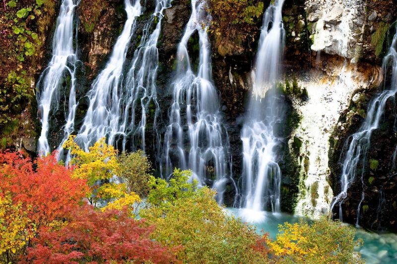 Hokkaido Asahiyama Zoo & Forest Elf Terrace Day Trip - Guides can make the long day feel easier