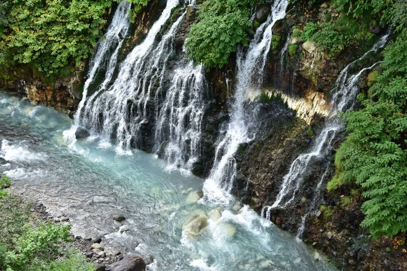 Hokkaido Asahiyama Zoo & Forest Elf Terrace Day Trip - The long ride is part of the deal