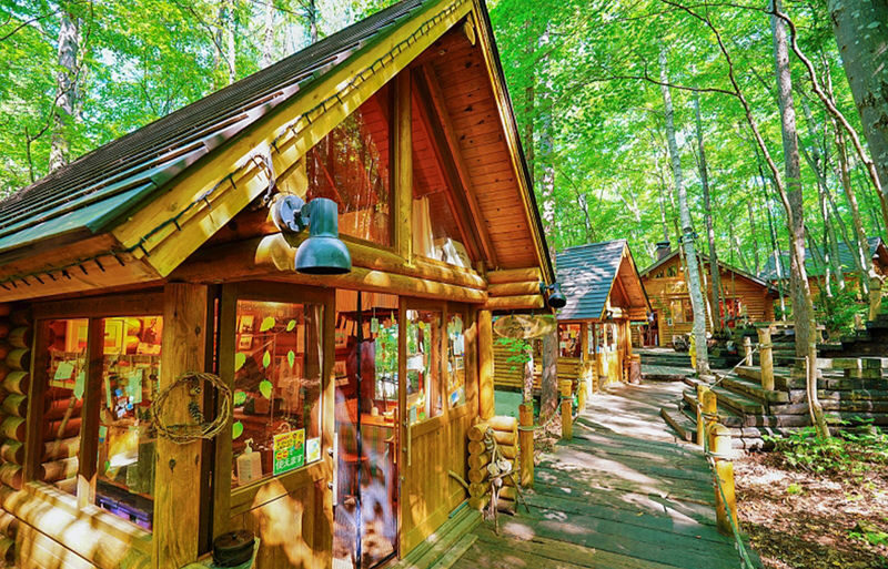 Hokkaido Asahiyama Zoo & Forest Elf Terrace Day Trip - Is $68.19 good value?