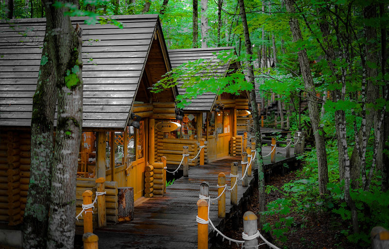 Hokkaido Asahiyama Zoo & Forest Elf Terrace Day Trip - Who should book this Hokkaido day trip?