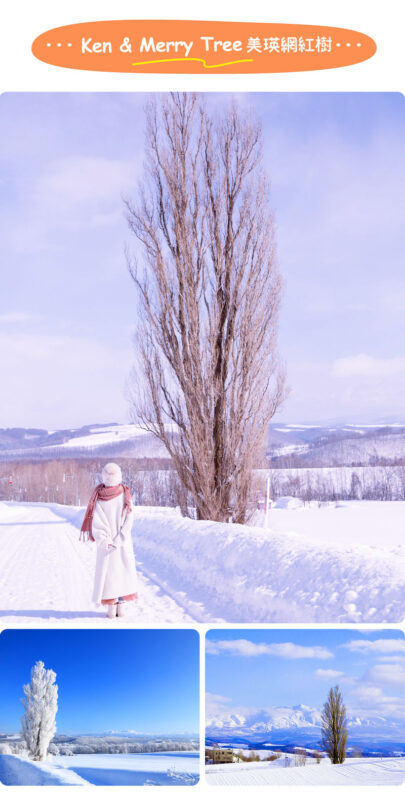Hokkaido Asahiyama Zoo Four Seasons Story: Blue Pond, Shirasu Waterfall, Shikisai no Oka, Forest Elf Terrace One-Day Tour - Ningle Terrace: charming, but not guaranteed