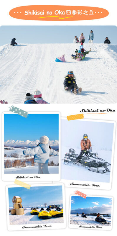 Hokkaido Asahiyama Zoo Four Seasons Story: Blue Pond, Shirasu Waterfall, Shikisai no Oka, Forest Elf Terrace One-Day Tour - The bus, guide, and timing