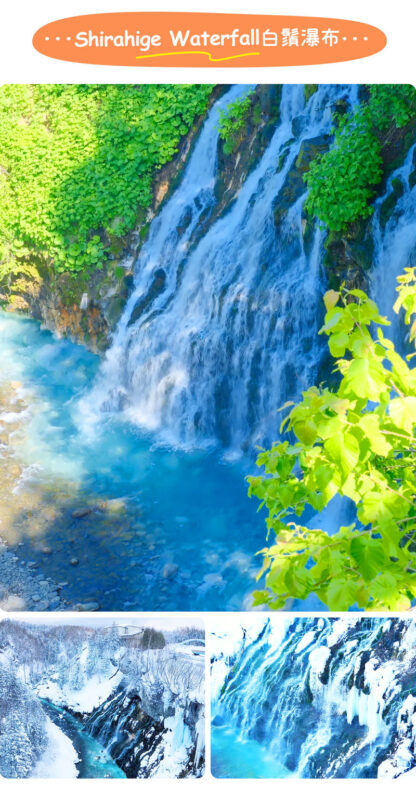Hokkaido Asahiyama Zoo Four Seasons Story: Blue Pond, Shirasu Waterfall, Shikisai no Oka, Forest Elf Terrace One-Day Tour - Who should book this day trip?