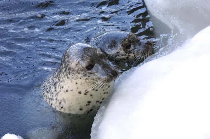 Hokkaido Asahiyama Zoo, Icebreaker GARINKO GO Sunset Tour - FAQ