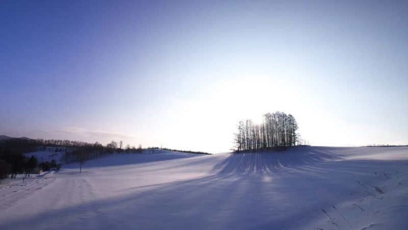 Hokkaido Asahiyama Zoo & Shikisai-no-Oka & Biei Christmas Tree & Ningle Terrace Day Trip: Departing from Sapporo (Winter option: Snowmobile) - Snowmobile option: the active extra