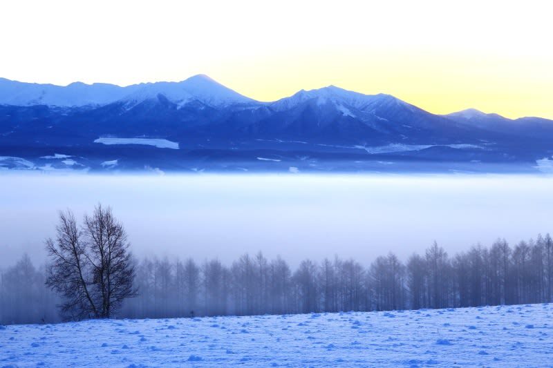 Hokkaido Asahiyama Zoo & Shikisai-no-Oka & Biei Christmas Tree & Ningle Terrace Day Trip: Departing from Sapporo (Winter option: Snowmobile) - What the bus format does well, and where it pinches