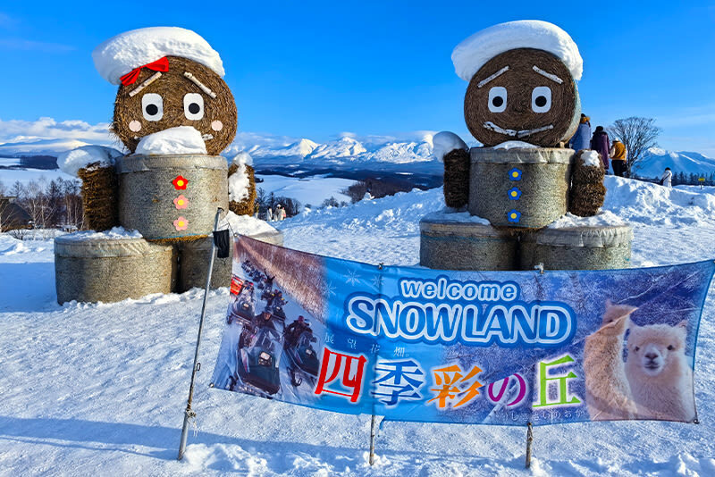 Hokkaido Asahiyama Zoo & Shikisai-no-Oka & Biei Christmas Tree & Ningle Terrace Day Trip: Departing from Sapporo (Winter option: Snowmobile) - Who should book this day trip?