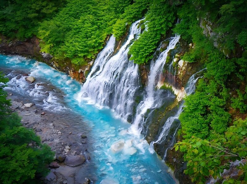 Hokkaido: Asahiyama Zoo + Shirogane Blue Pond - Summer Limited Furano Flower Fields Day Tour - Shirahige Waterfall and Blue Pond