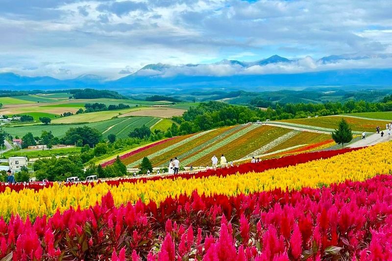 Hokkaido Autumn Exclusive | Farm Tomita, Shikisai no Oka, Blue Pond, Shirasu Waterfall Day Tour (Departing from Sapporo) - Shikisai no Oka: a rainbow-sized flower field