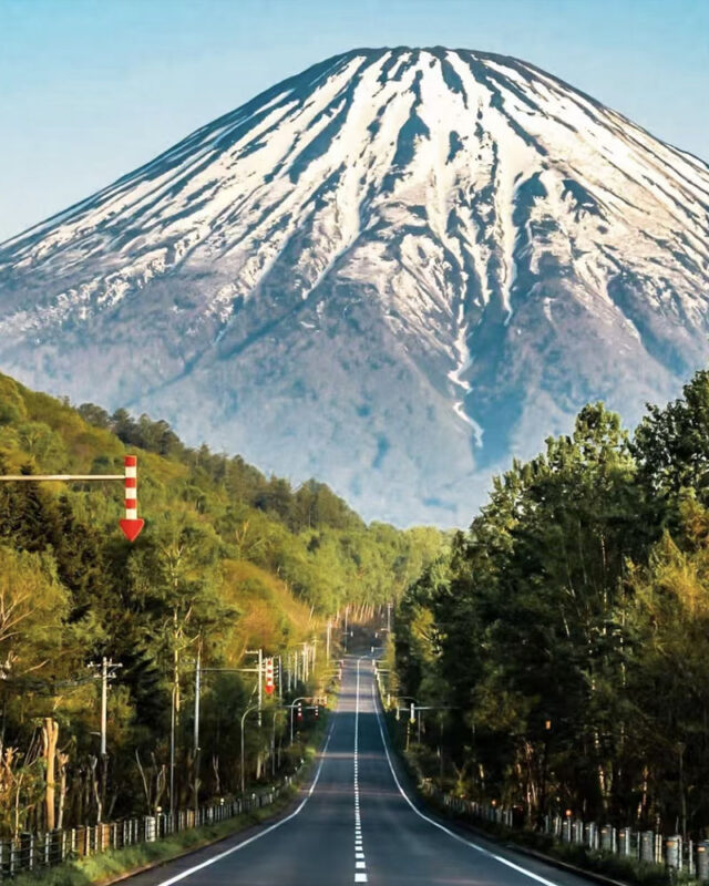 Hokkaido Autumn Foliage Day Trip: Jozankei & Hoheikyo Dam & Showa-shinzan Bear Ranch & Mount Yotei Spring Water Park (Departing from Sapporo) - Meeting the Hokkaido brown bears