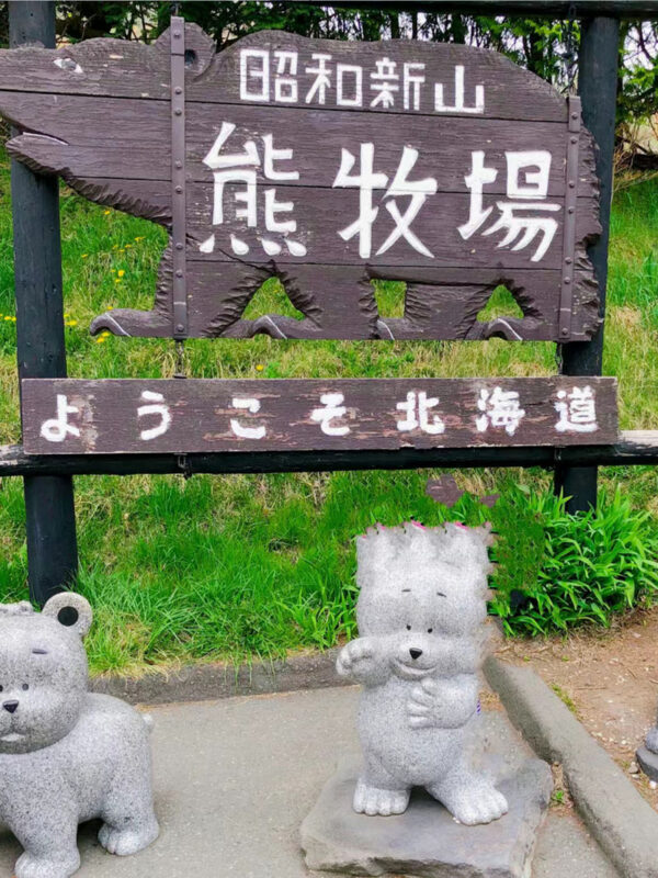 Hokkaido Autumn Maple Viewing Limited - Lake Toya Jozankei Onsen & Mount Yotei Spring Water Park & Lake Toya Showa Shinzan Bear Ranch Day Tour - Lake Toya Observatory: a short stop with a wide view