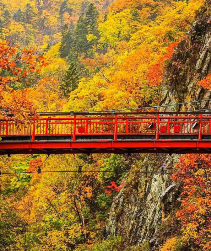 Hokkaido Autumn Maple Viewing Limited - Lake Toya Jozankei Onsen & Mount Yotei Spring Water Park & Lake Toya Showa Shinzan Bear Ranch Day Tour - Who should book this day trip?