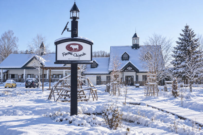 Hokkaido Biei Chiyoda Farm Snowmobile Experience | Includes Farm-Limited Jersey Milk - What the 20-minute ride feels like