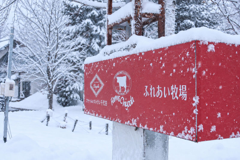 Hokkaido Biei Chiyoda Farm Snowmobile Experience | Includes Farm-Limited Jersey Milk - Should you book?