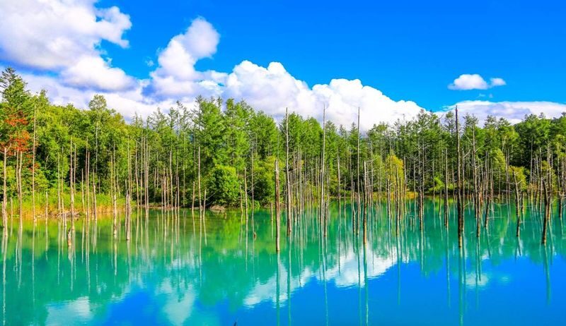 Hokkaido Biei Furano Day Tour: Shikisai-no-Oka, optional snowmobile in winter, Shirogane Blue Pond, Shirahige Waterfall, Ningle Terrace - A long ride that makes the countryside accessible