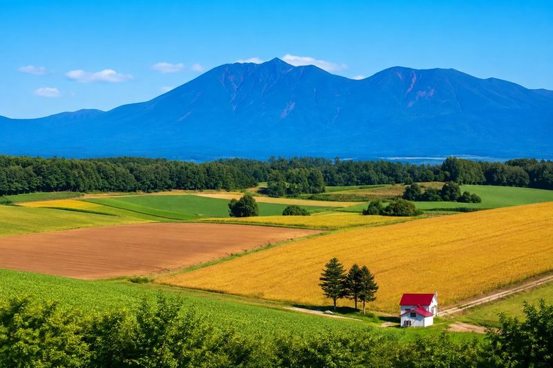 Hokkaido Biei Furano Day Tour: Shikisai-no-Oka, optional snowmobile in winter, Shirogane Blue Pond, Shirahige Waterfall, Ningle Terrace - The Christmas Tree and Shin-ei Hill