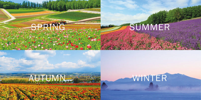Hokkaido Biei Furano Day Tour: Shikisai-no-Oka, optional snowmobile in winter, Shirogane Blue Pond, Shirahige Waterfall, Ningle Terrace - Shirahige Falls: blue water beneath the snow