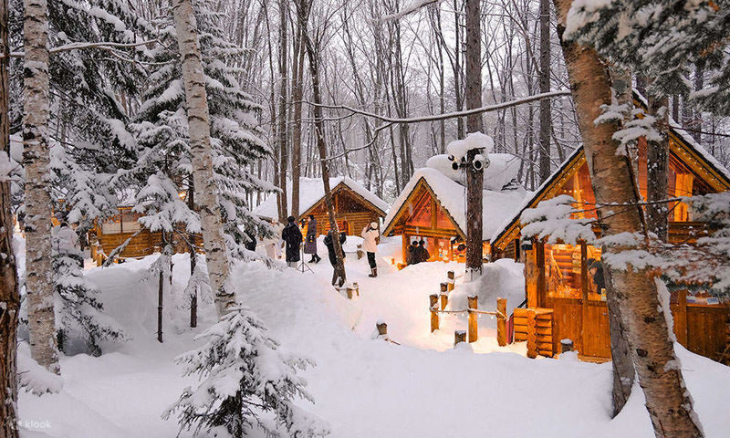 Hokkaido Biei Furano Day Tour: Shikisai-no-Oka, optional snowmobile in winter, Shirogane Blue Pond, Shirahige Waterfall, Ningle Terrace - Ningle Terrace: cabins in the forest