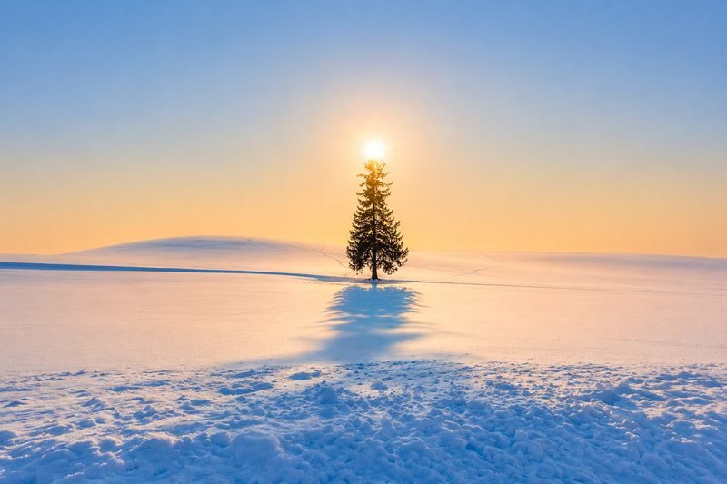 Hokkaido Biei Furano Day Tour: Shikisai-no-Oka, optional snowmobile in winter, Shirogane Blue Pond, Shirahige Waterfall, Ningle Terrace - What the price buys, and what it does not