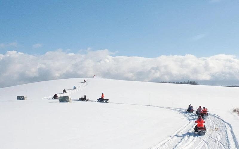 Hokkaido Biei Furano Day Tour: Shikisai-no-Oka, optional snowmobile in winter, Shirogane Blue Pond, Shirahige Waterfall, Ningle Terrace - Timing, comfort, and the small print that matters