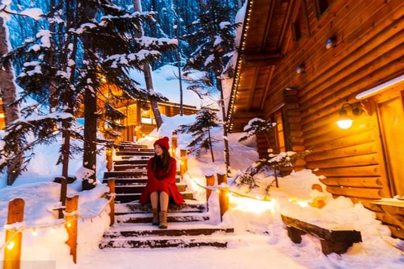 Hokkaido Biei Furano Exclusive | Shikisai-no-Oka, Ningle Terrace, Farm Tomita, Asahiyama Zoo | Depart from Sapporo - Should you book this Furano and Biei tour?