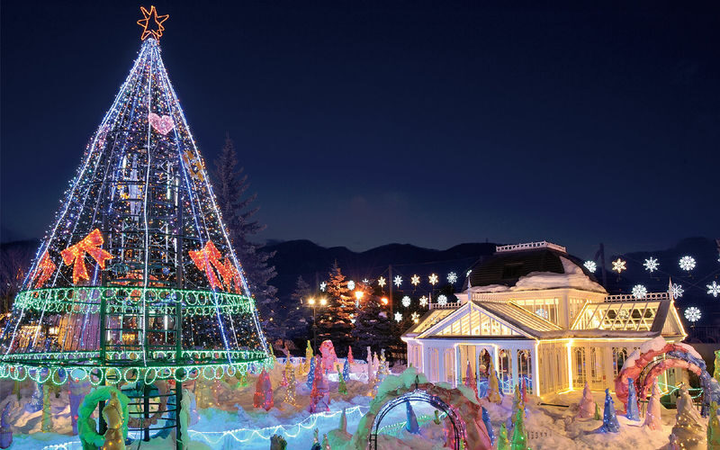 Hokkaido: Customizable Private Car Charter Day Tour | Departs from Sapporo - The real cost is more than the starting fare