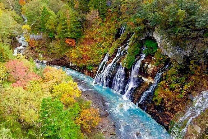 Hokkaido Day Tour from Sapporo: Asahiyama Zoo, Blue Pond Japan - What to Expect on This Hokkaido Day Tour