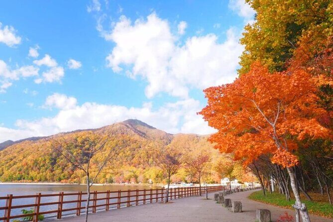 Hokkaido Day Tour from Sapporo: with Bear Park Option - FAQ