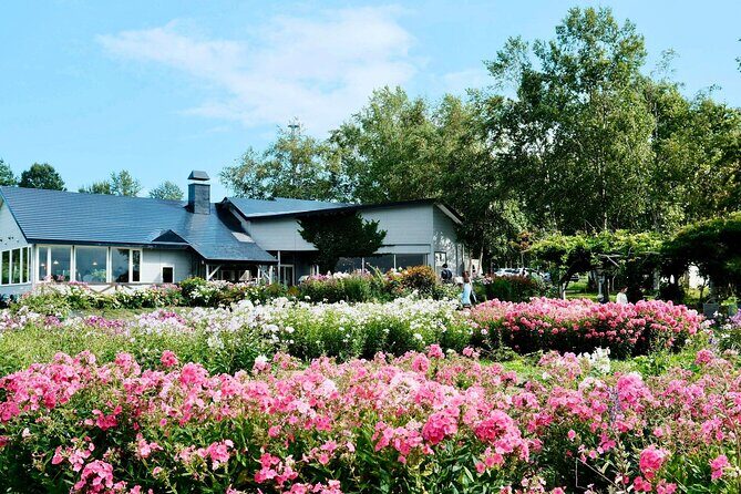 Hokkaido Day Tour Lake Toya, Hell Valley, and Mount Yotei Views - In-Depth Review: What to Expect from This Hokkaido Day Tour