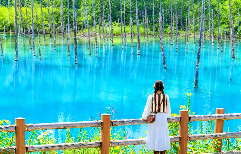 Hokkaido Day Trip: Asahiyama Zoo (Including Admission) + Shikisai-no-oka + Biei Instagram-Famous Trees/Blue Pond & Shirahige Falls (Other Seasons) + Furano Ningle Terrace | Departure from Sapporo - Complimentary Hot/Cold Drink - The trip at a glance