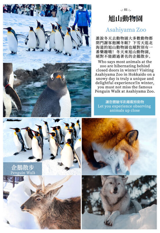 Hokkaido Day Trip: Asahiyama Zoo (Including Admission) + Shikisai-no-oka + Biei Instagram-Famous Trees/Blue Pond & Shirahige Falls (Other Seasons) + Furano Ningle Terrace | Departure from Sapporo - Complimentary Hot/Cold Drink - Biei’s Blue Pond and Shirahige Falls