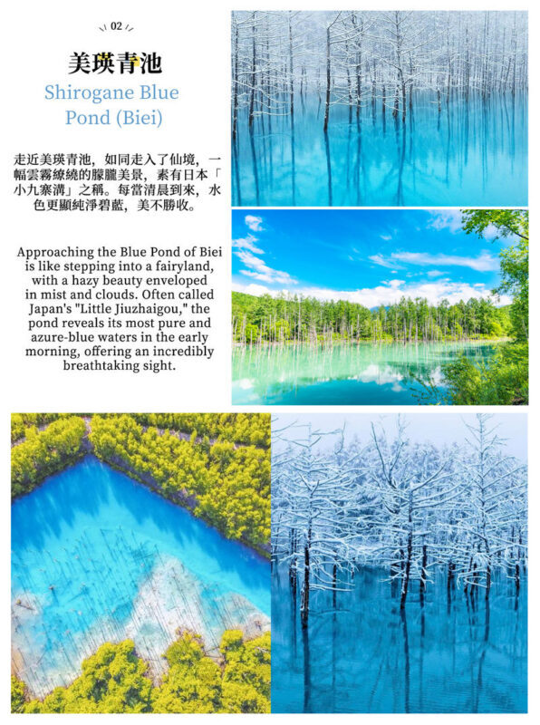 Hokkaido Day Trip: Asahiyama Zoo (Including Admission) + Shikisai-no-oka + Biei Instagram-Famous Trees/Blue Pond & Shirahige Falls (Other Seasons) + Furano Ningle Terrace | Departure from Sapporo - Complimentary Hot/Cold Drink - Ningle Terrace: pretty cabins, limited browsing time