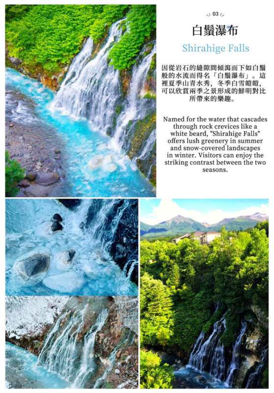 Hokkaido Day Trip: Asahiyama Zoo (Including Admission) + Shikisai-no-oka + Biei Instagram-Famous Trees/Blue Pond & Shirahige Falls (Other Seasons) + Furano Ningle Terrace | Departure from Sapporo - Complimentary Hot/Cold Drink - Winter changes the character of the day